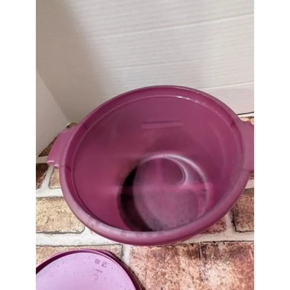 Tupperware Microwave Rice Grain Maker Cooker Steamer 3 Piece Set Purple 2.2L